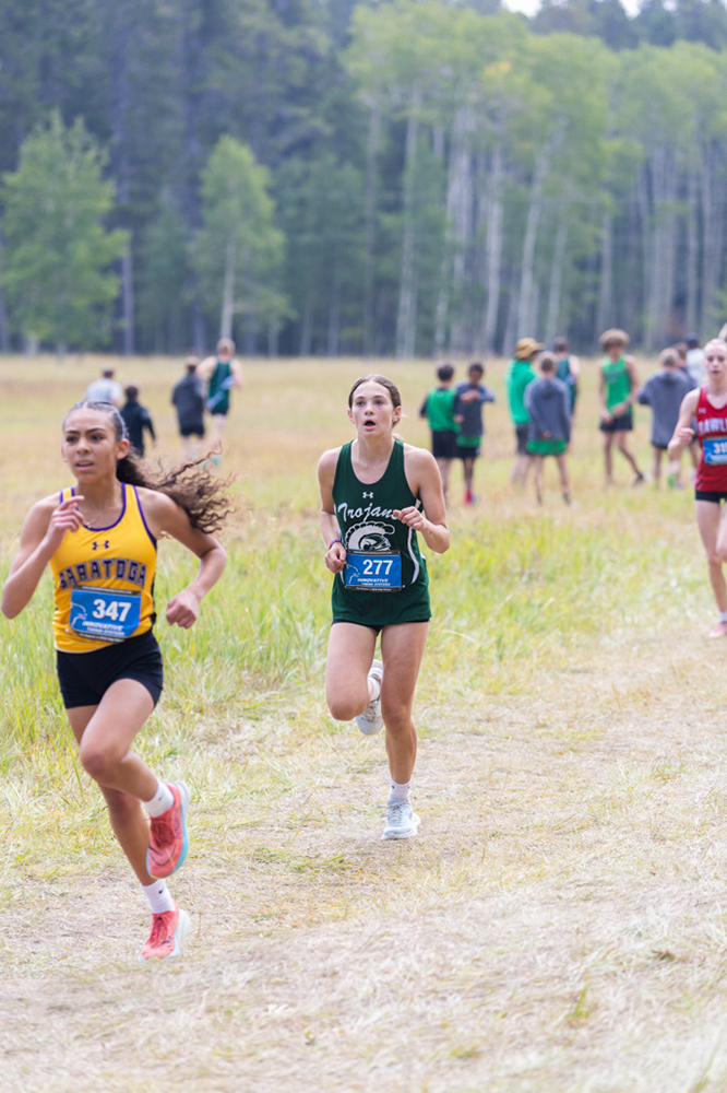 %_tempFileName1M6A8133%