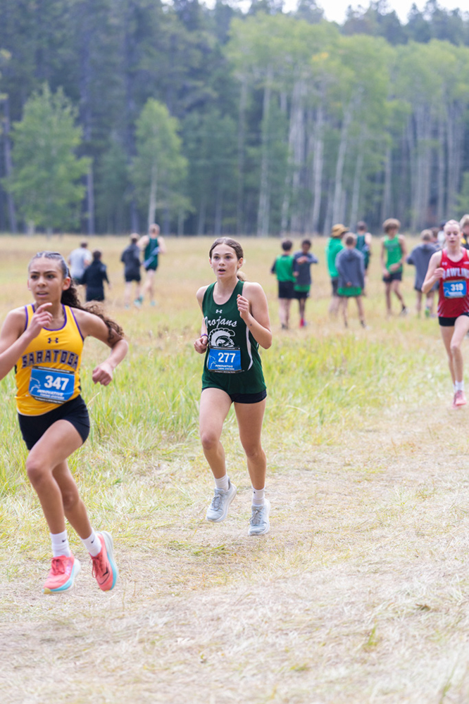 %_tempFileName1M6A8134%