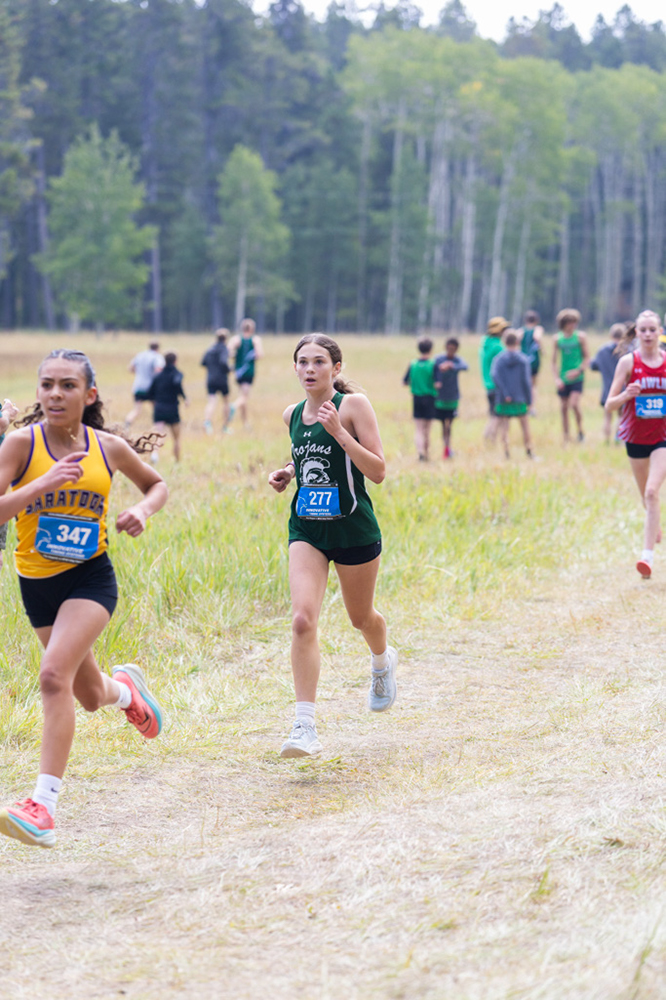 %_tempFileName1M6A8135%