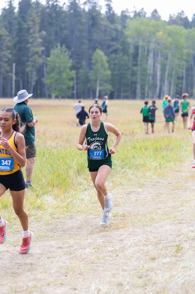 %_tempFileName1M6A8139%