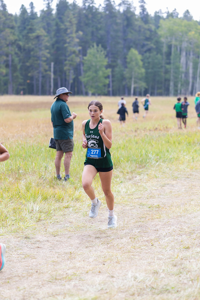 %_tempFileName1M6A8142%