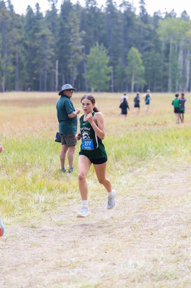 %_tempFileName1M6A8143%