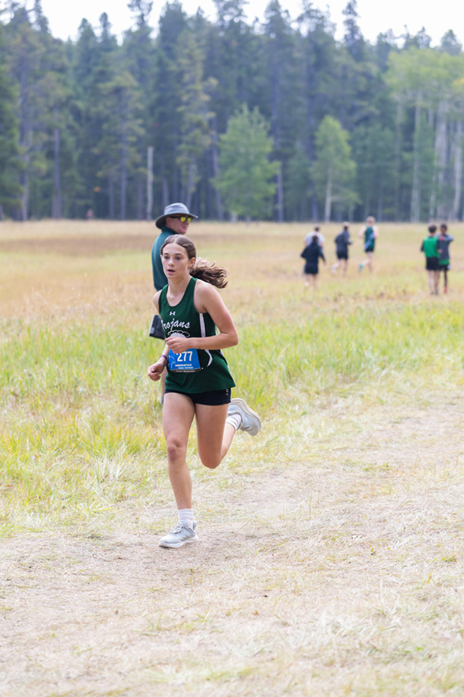 %_tempFileName1M6A8145%