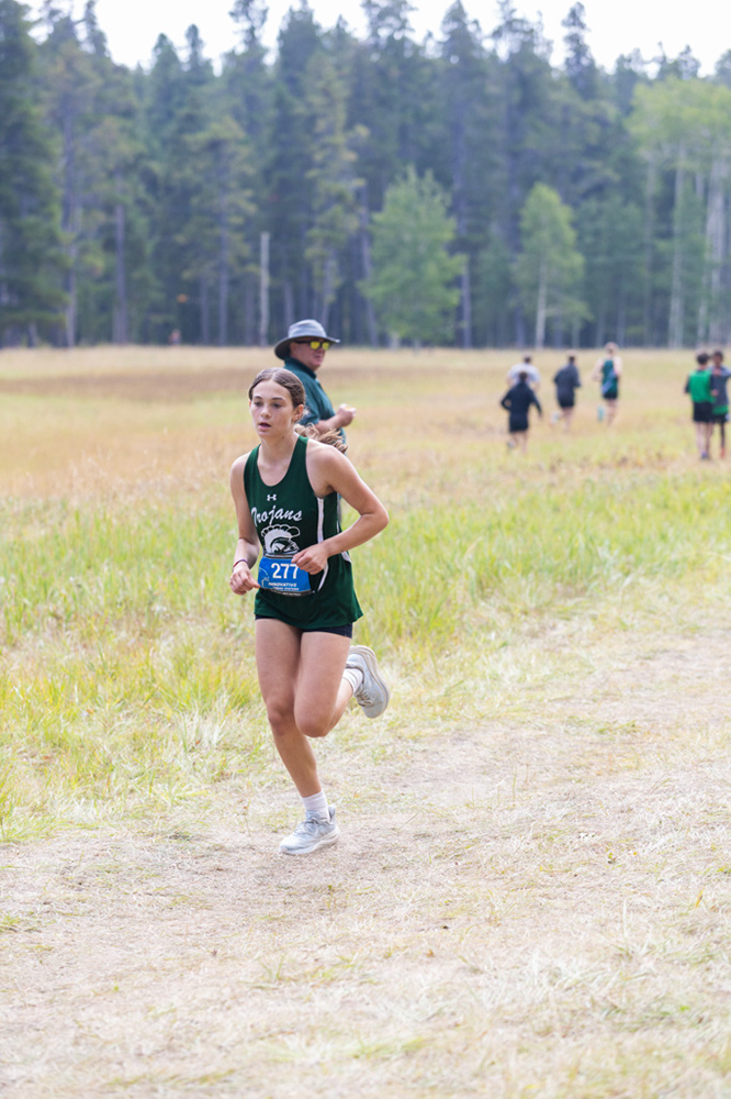 %_tempFileName1M6A8146%