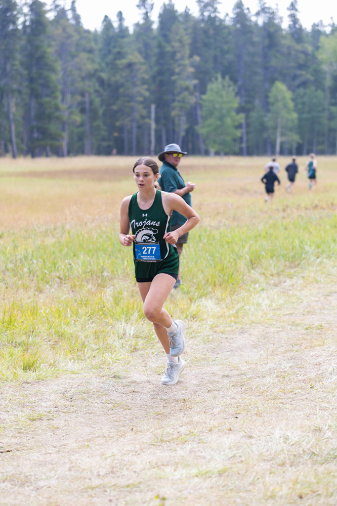 %_tempFileName1M6A8147%