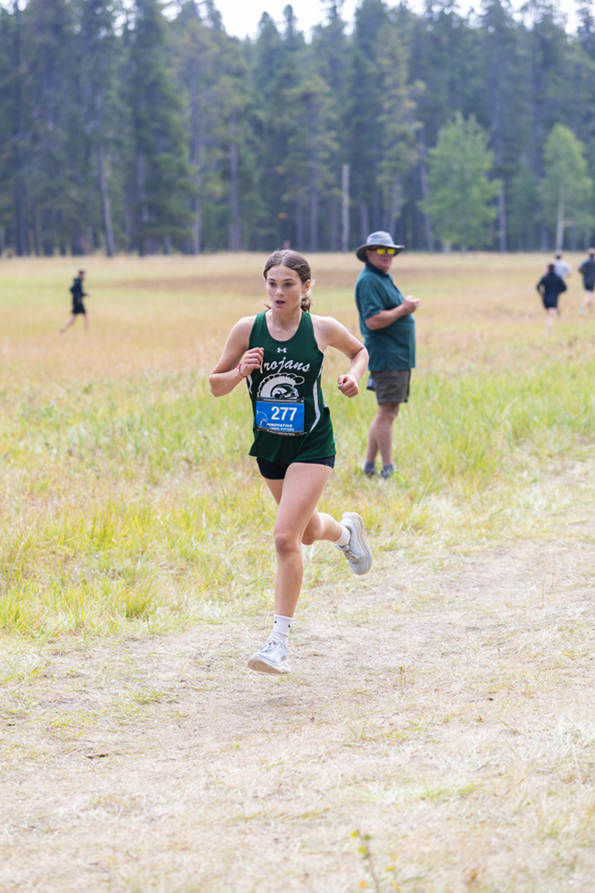 %_tempFileName1M6A8149%