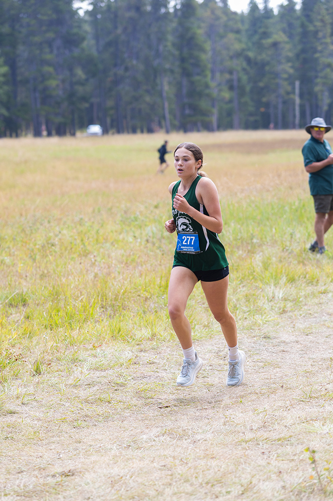 %_tempFileName1M6A8153%