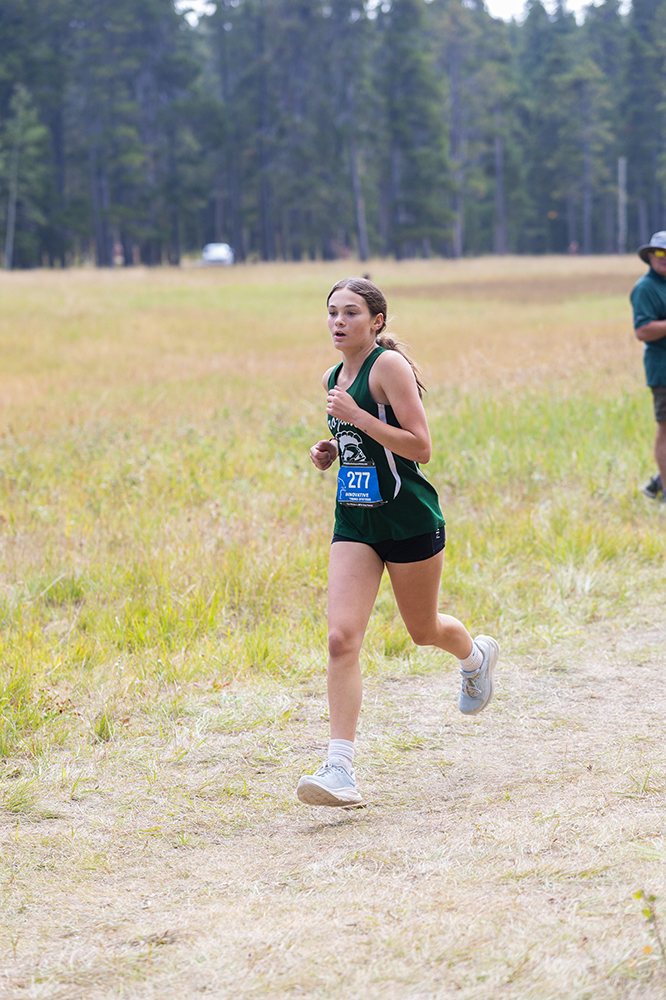 %_tempFileName1M6A8154%