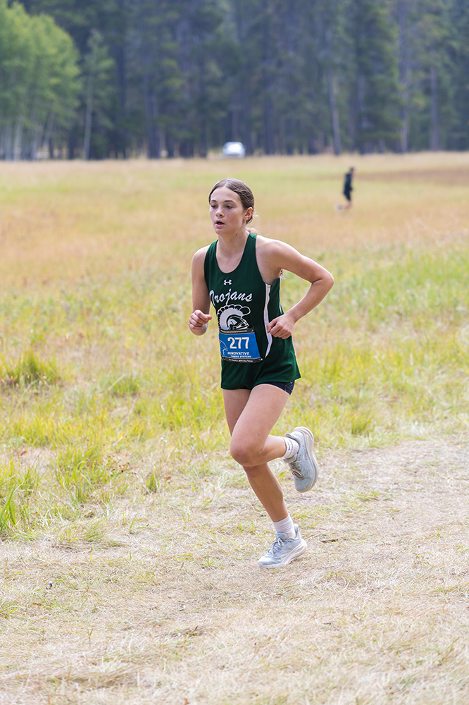 %_tempFileName1M6A8157%