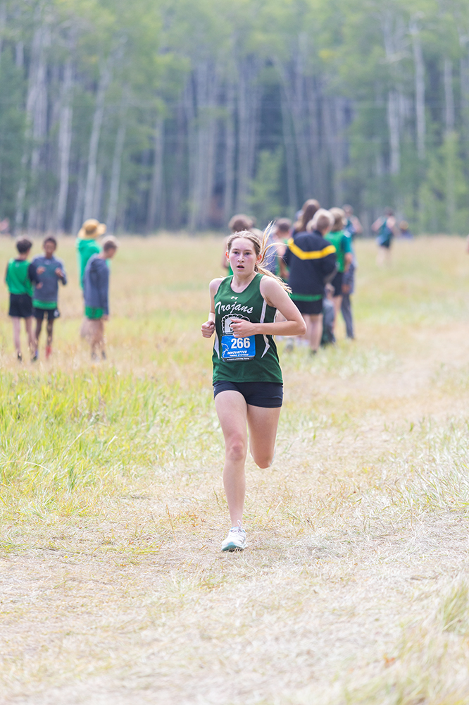 %_tempFileName1M6A8166%