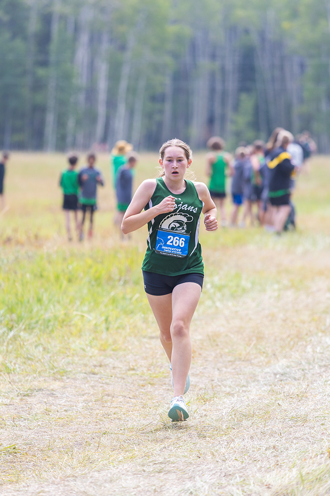 %_tempFileName1M6A8173%