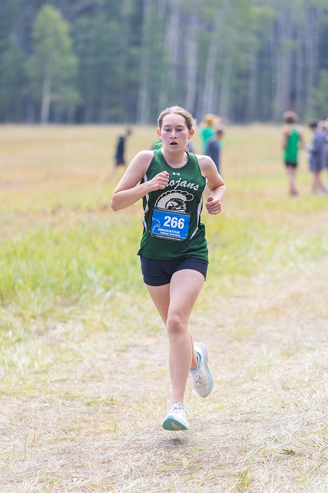 %_tempFileName1M6A8183%