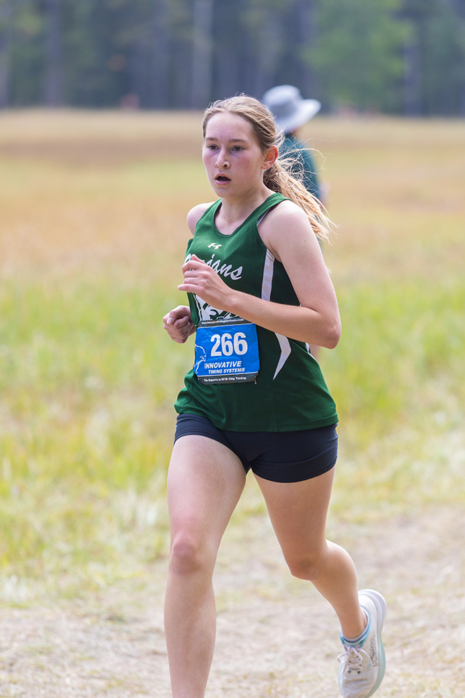 %_tempFileName1M6A8195%