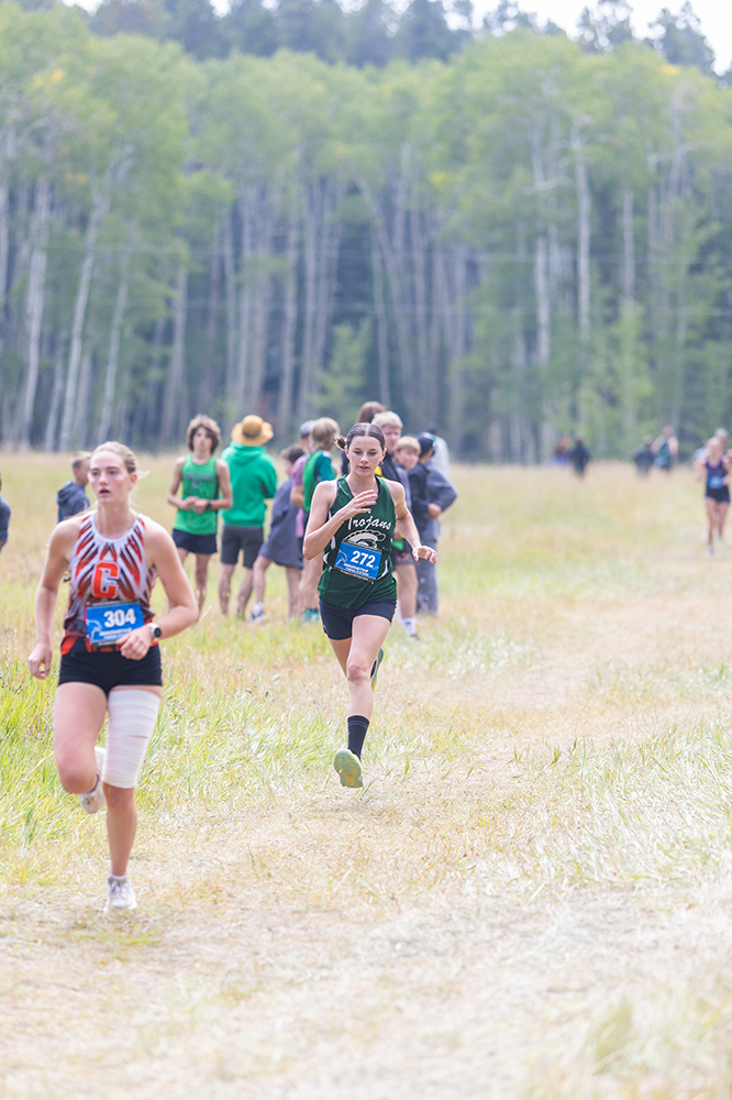 %_tempFileName1M6A8201%