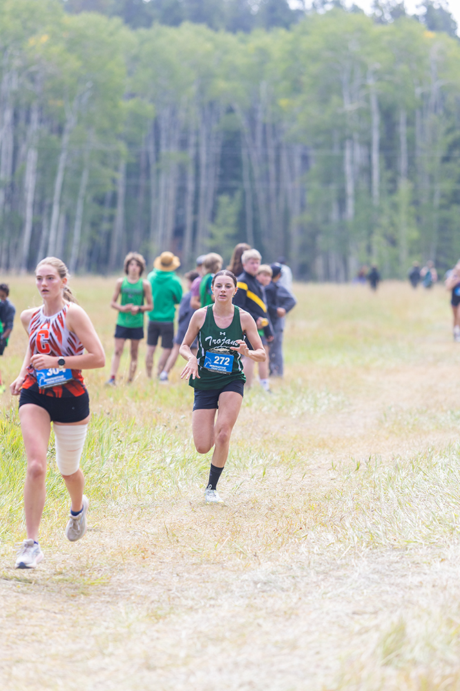 %_tempFileName1M6A8203%