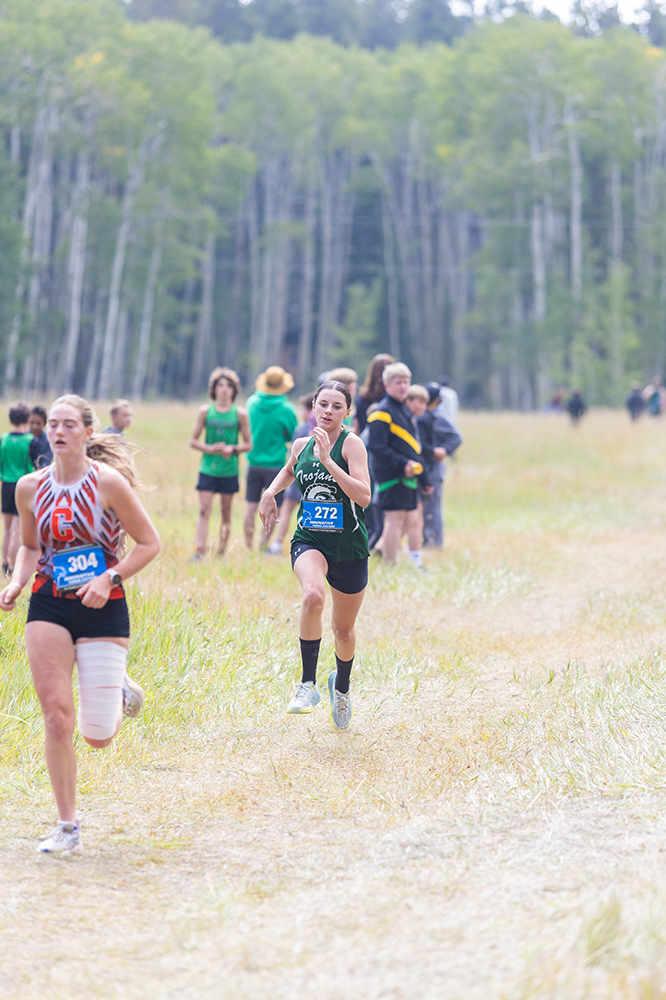 %_tempFileName1M6A8205%