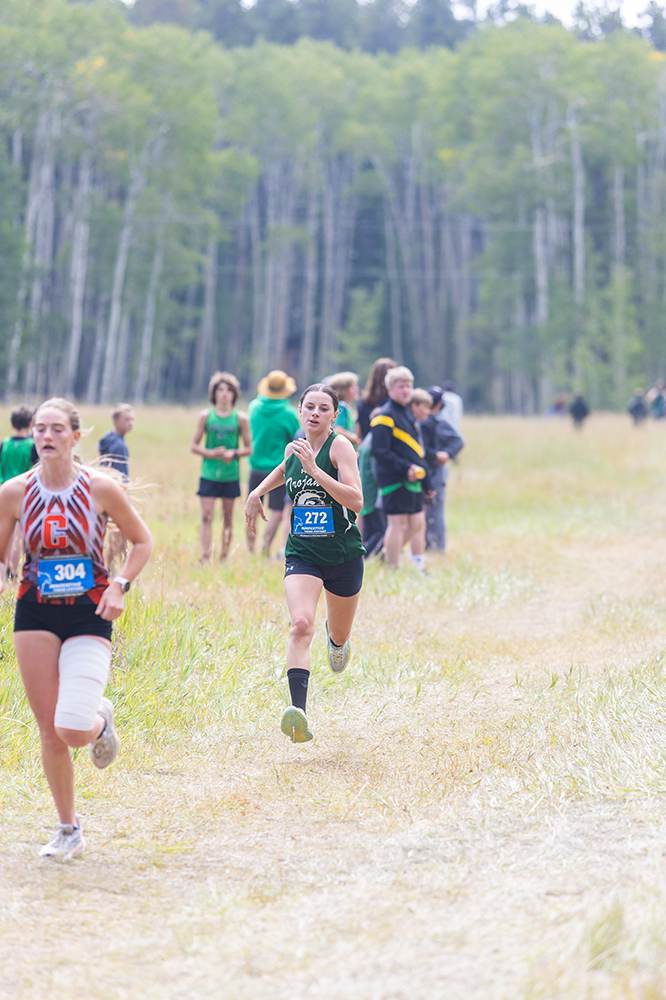 %_tempFileName1M6A8206%