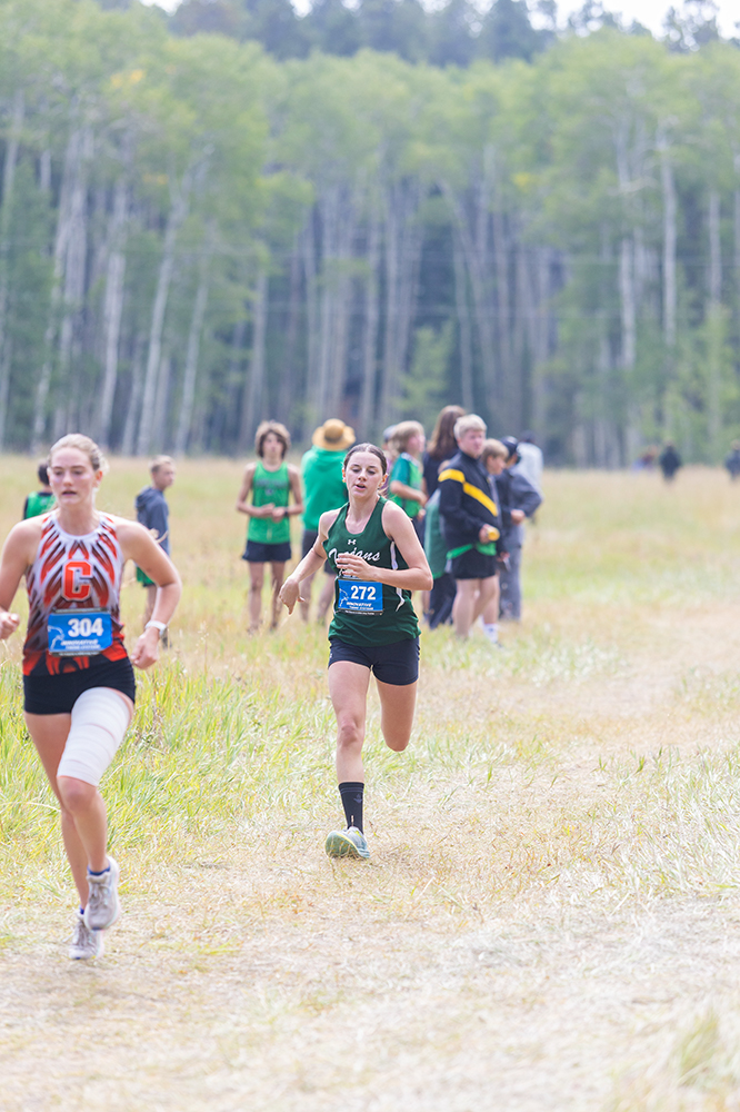 %_tempFileName1M6A8207%