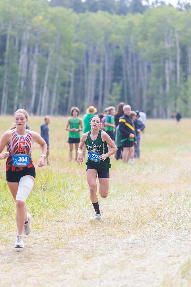 %_tempFileName1M6A8208%