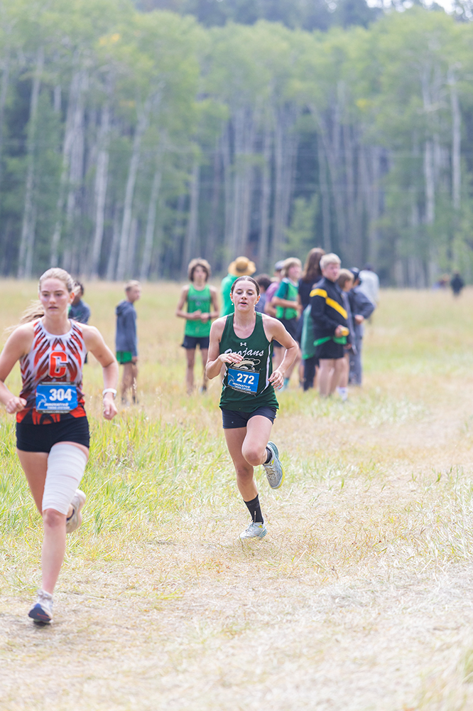 %_tempFileName1M6A8209%