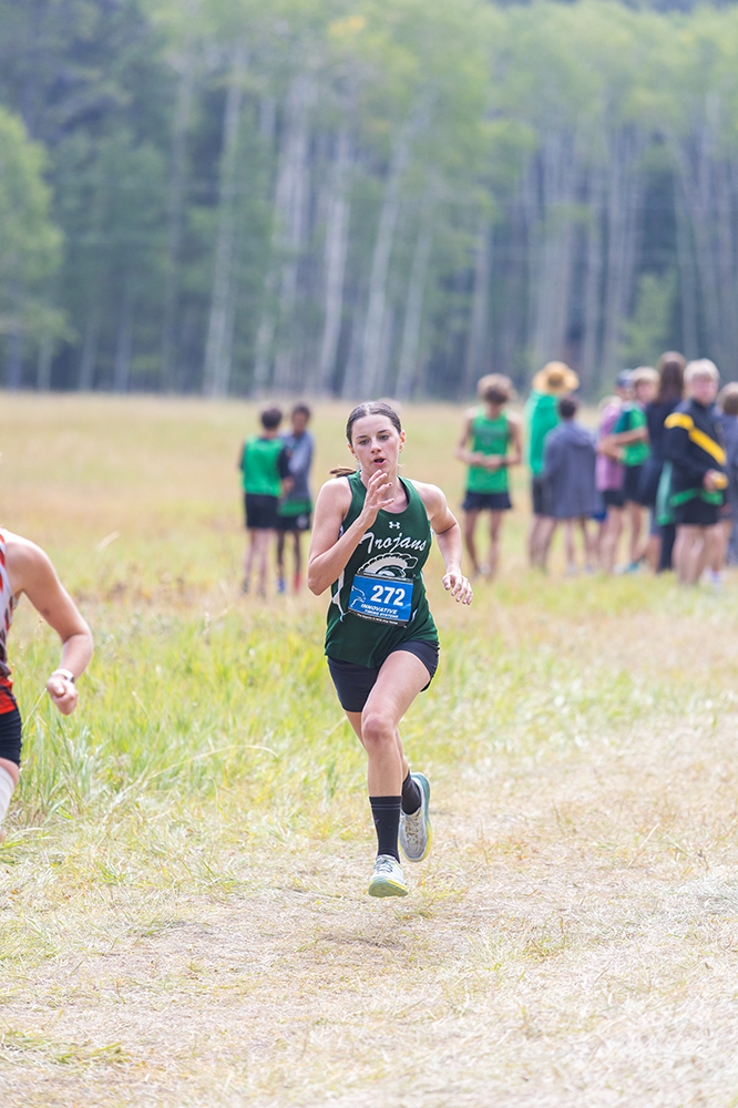 %_tempFileName1M6A8213%