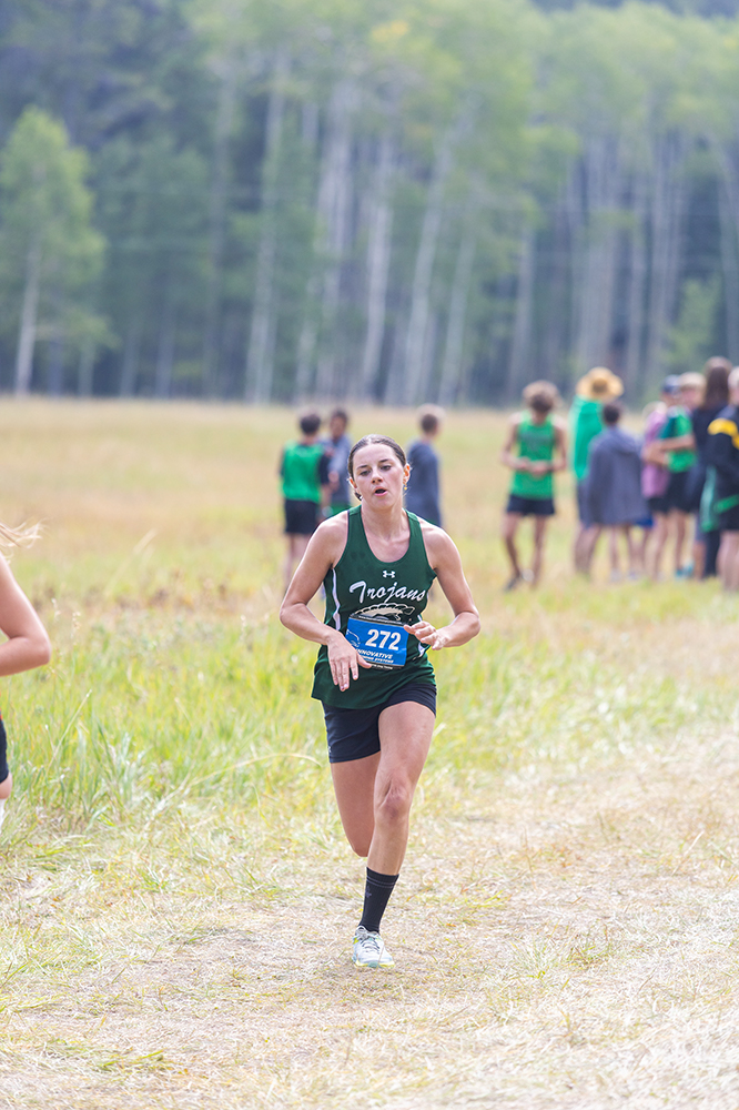 %_tempFileName1M6A8215%