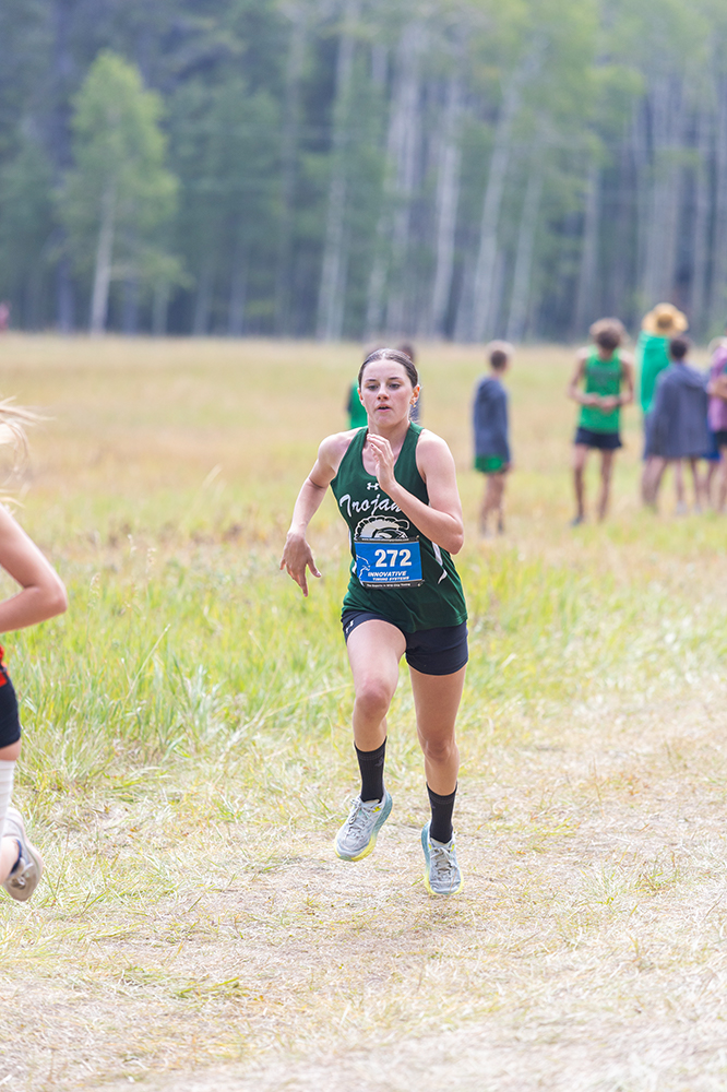 %_tempFileName1M6A8217%