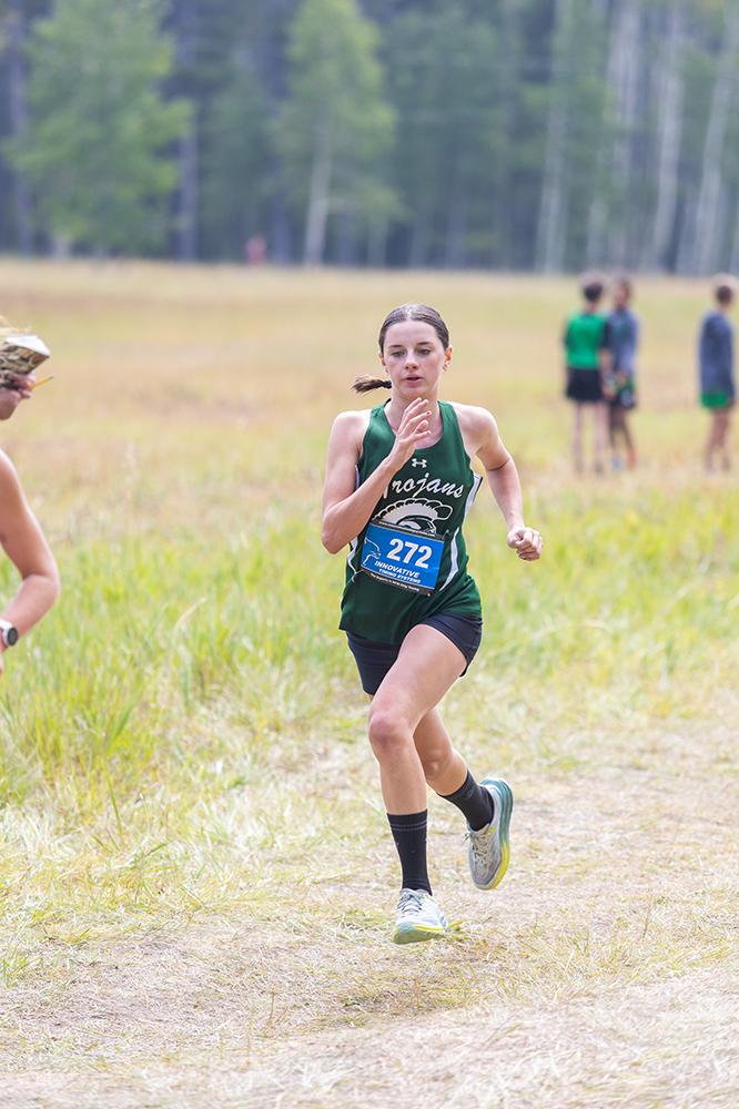 %_tempFileName1M6A8223%