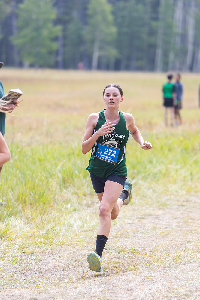 %_tempFileName1M6A8224%