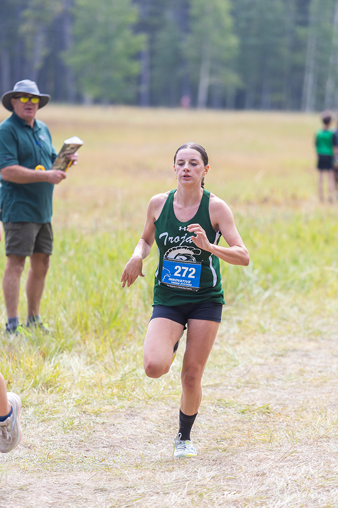 %_tempFileName1M6A8226%