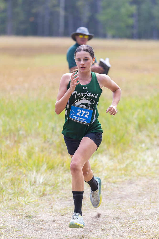 %_tempFileName1M6A8230%