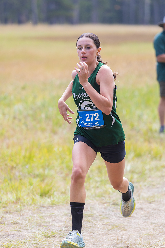 %_tempFileName1M6A8235%