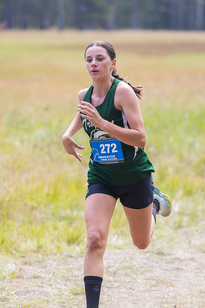 %_tempFileName1M6A8236%