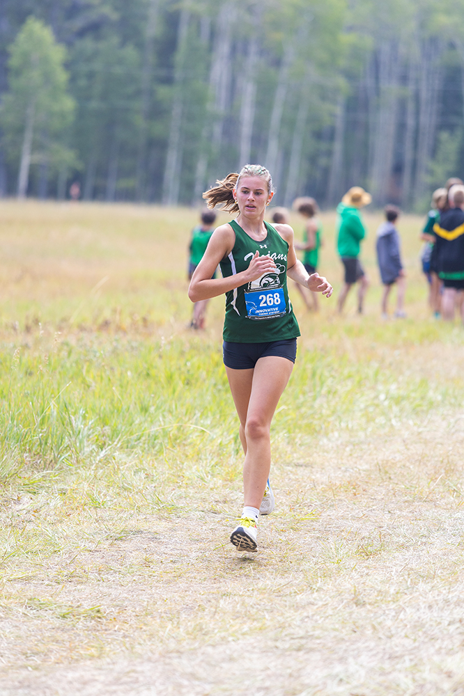 %_tempFileName1M6A8253%