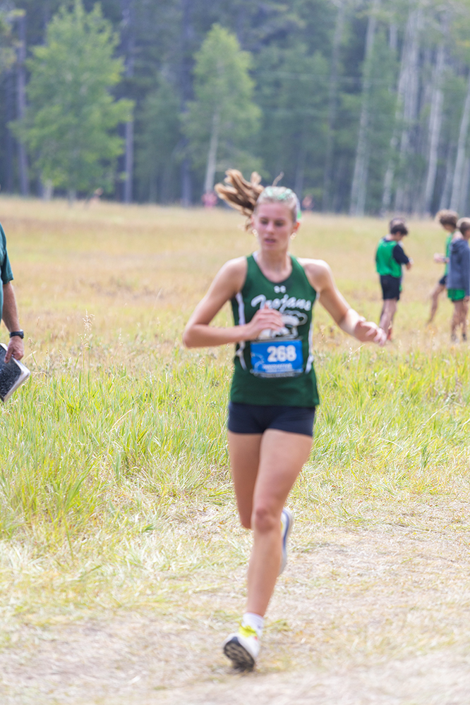 %_tempFileName1M6A8259%