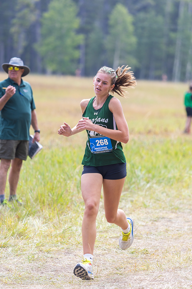 %_tempFileName1M6A8264%