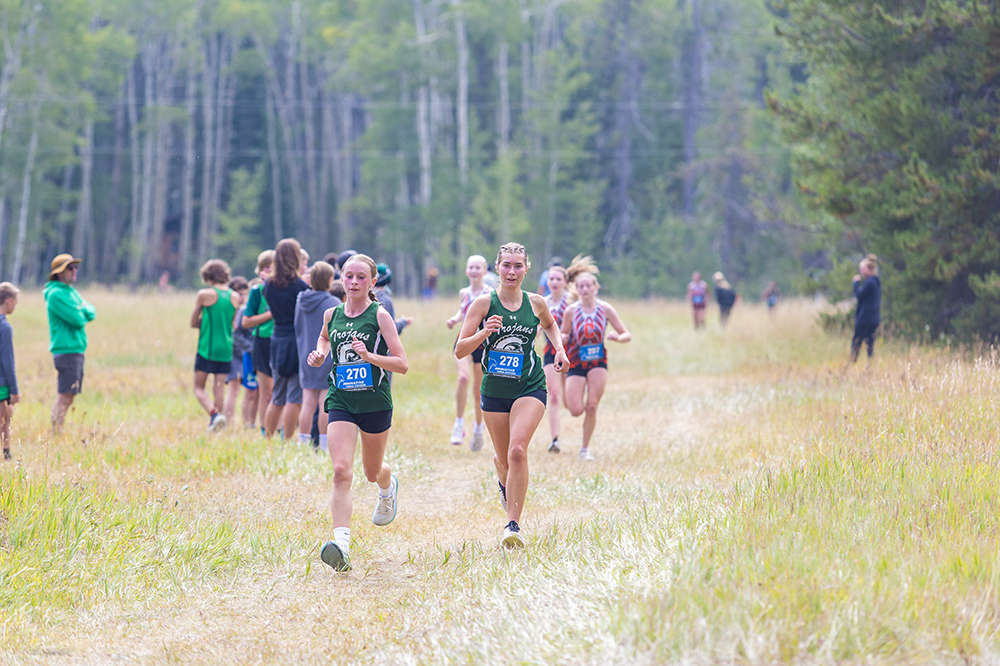 %_tempFileName1M6A8284%