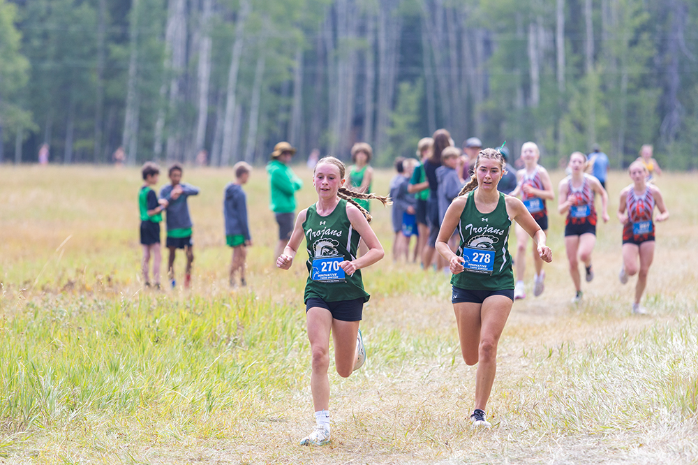 %_tempFileName1M6A8295%