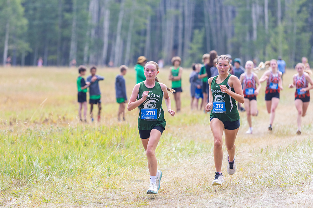 %_tempFileName1M6A8298%