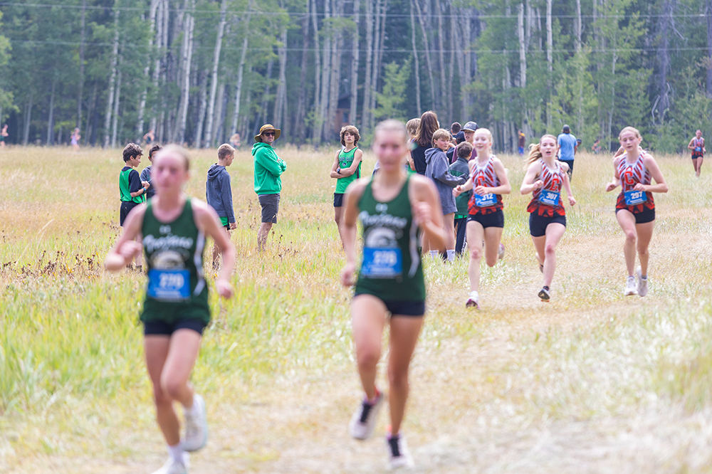 %_tempFileName1M6A8301%