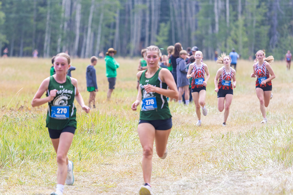 %_tempFileName1M6A8303%