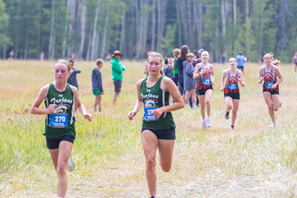 %_tempFileName1M6A8304%