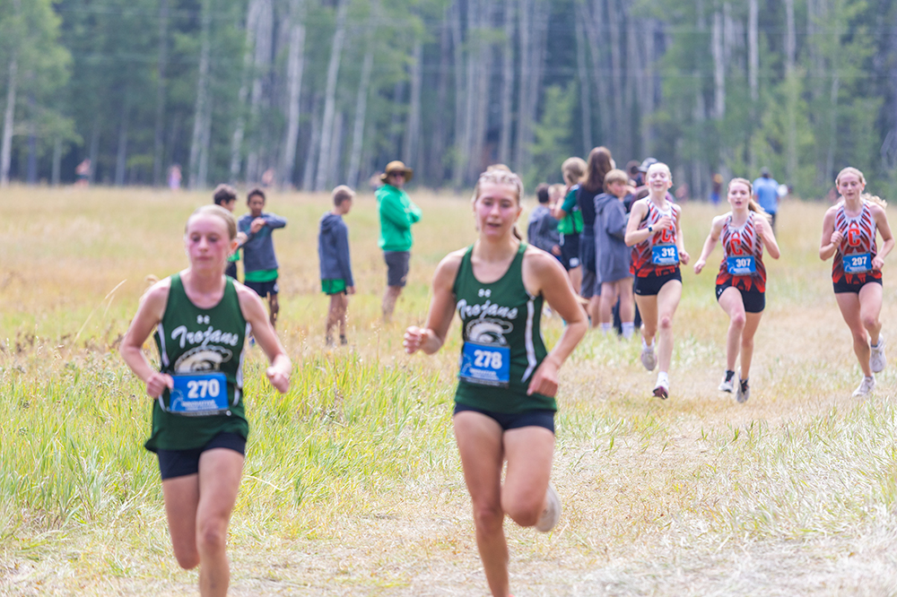 %_tempFileName1M6A8305%