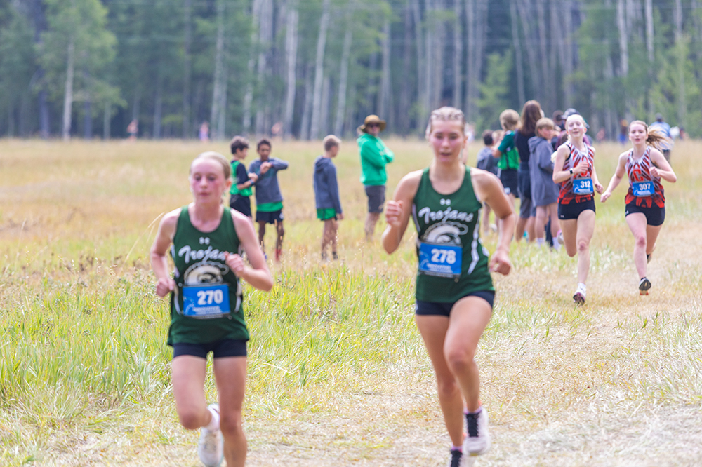 %_tempFileName1M6A8306%