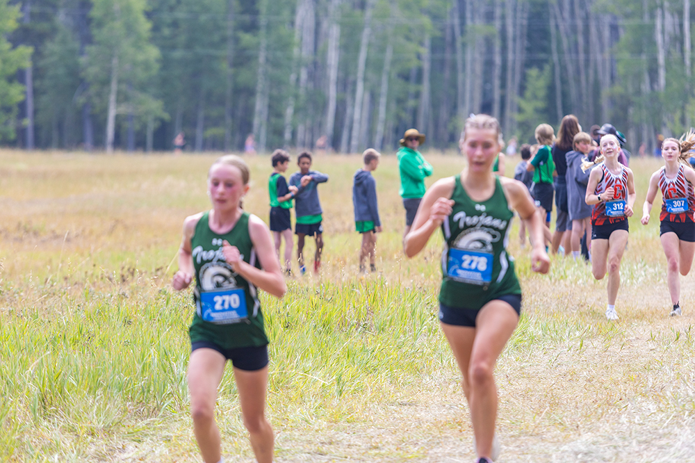 %_tempFileName1M6A8307%