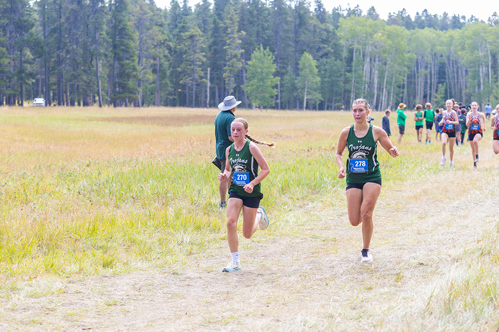 %_tempFileName1M6A8308%