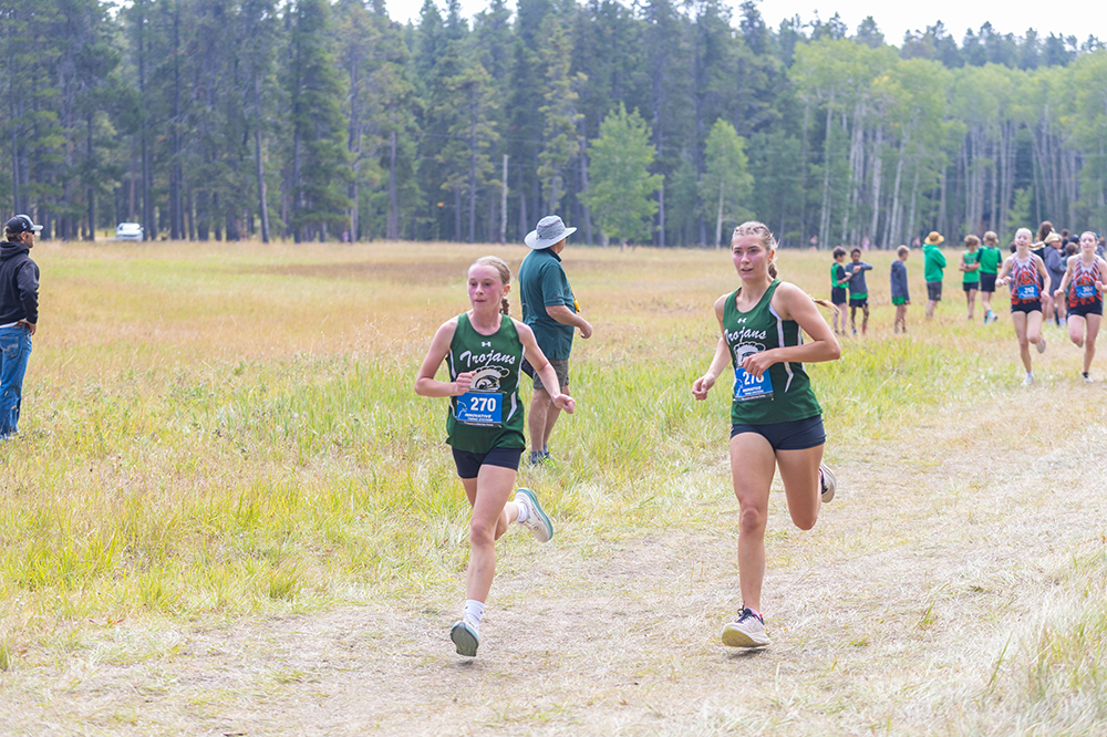 %_tempFileName1M6A8312%