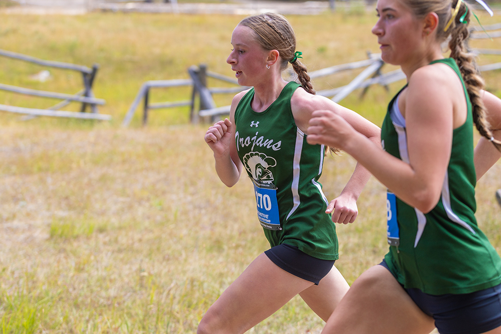 %_tempFileName1M6A8333%