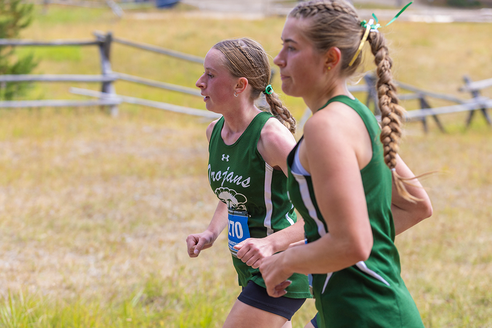 %_tempFileName1M6A8335%