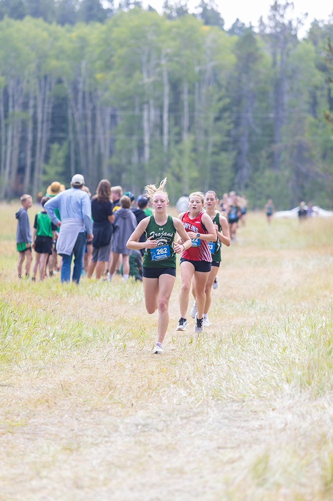 %_tempFileName1M6A8338%